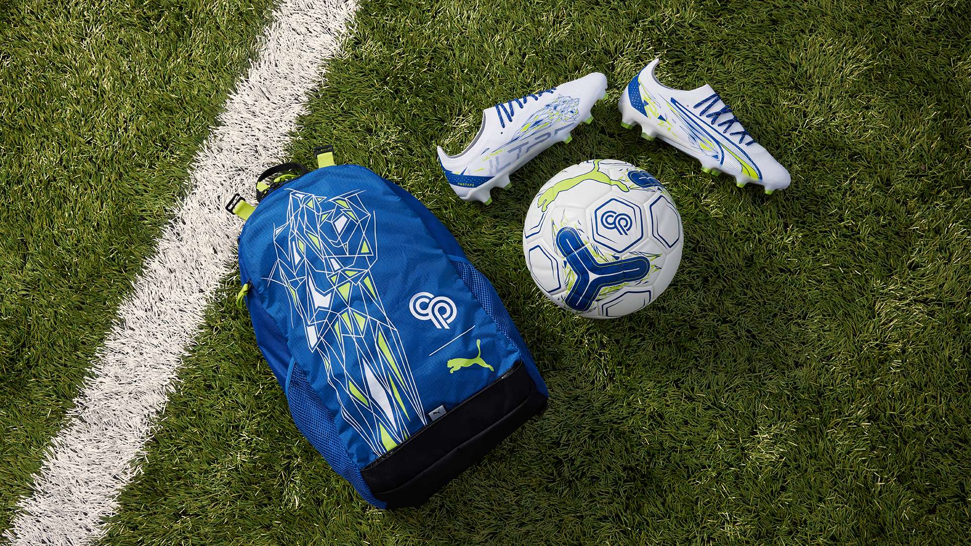 可預測性 可預測性