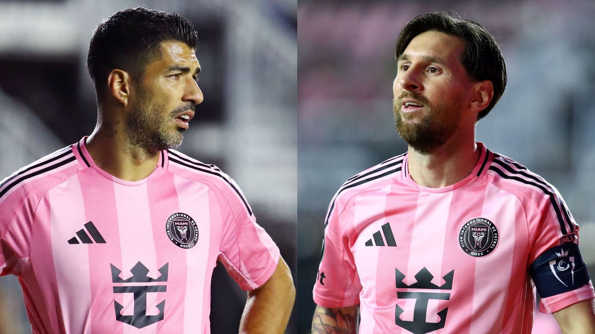 自己不可或 自己不可或